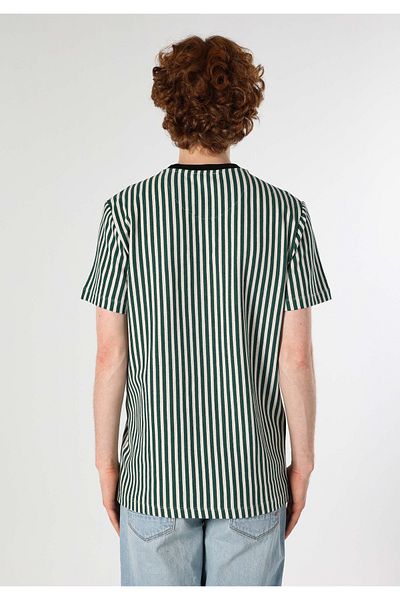 Colin's Green Striped Crew Neck Men's Short Sleeve T-Shirt - Regular Fit