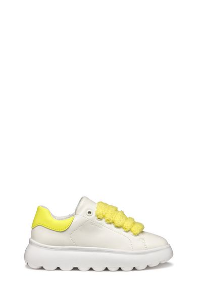 Geox Sneaker
