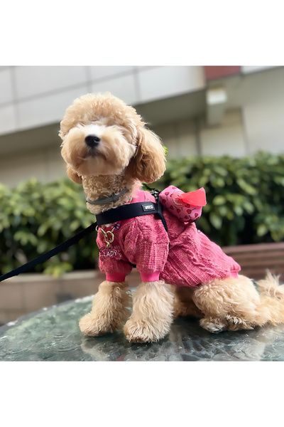 PETITE Koyu Pembe Yesili Köpek kazagi Köpek Kıyafeti