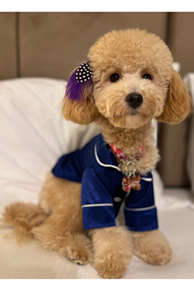 PETITE بيجامة للكلاب ملابس للكلاب