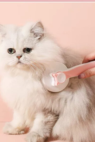 ego home Cat Dog Automatic Cleaning Buttoned Hair Collector Comb Pet Feather Hair Collecting Brush