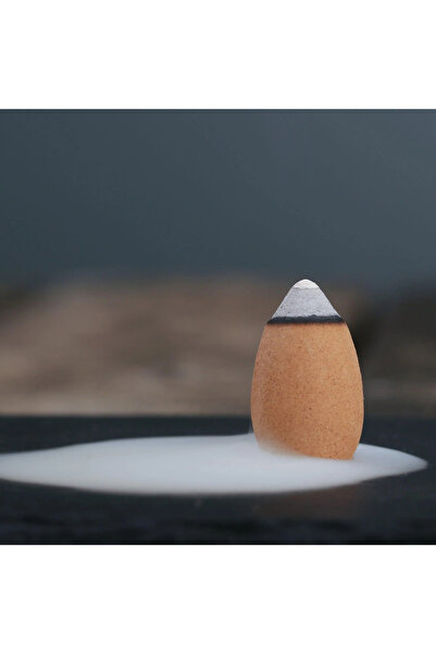 OrdoVeni Lavanta Kokulu 10 Adet Geri Akış Tütsü & Oda Kokusu