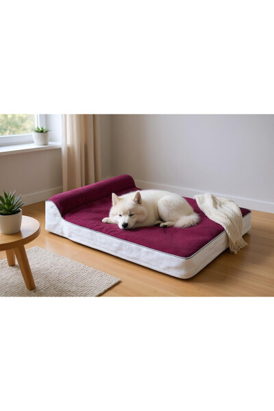 petshill Premium Cleopatra Blok Süngerli Alezli Fermuarlı Yıkanabilir Köpek Y...