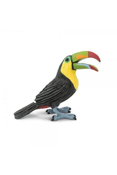 Safari Toucan