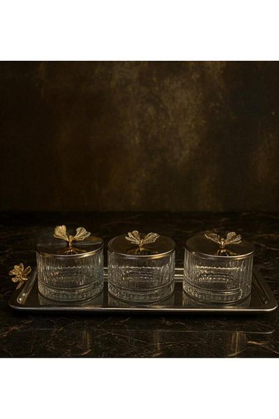decovien 3-Piece Tray with Lid and Cover