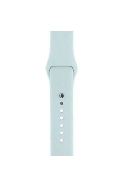 OEM Blue Ice Silicone Band for Apple Watch, 42/44mm