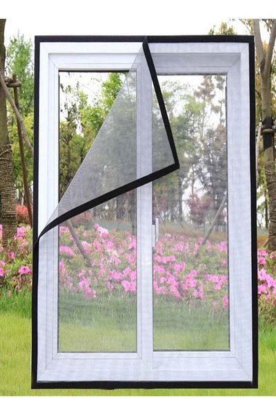 Generic Invisible anti-mosquito removable screen 100cmÃ—100cm