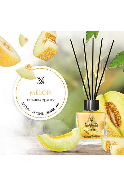 Mislina Set of 3 Room Air Fresheners with Sticks – Premium – Melon, Mango, Jasmine