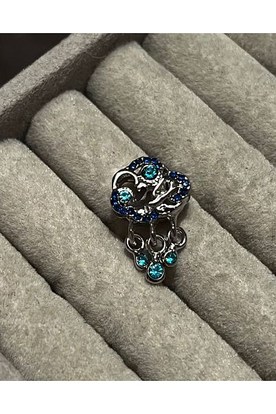asaf Cloud and Swallow Charm