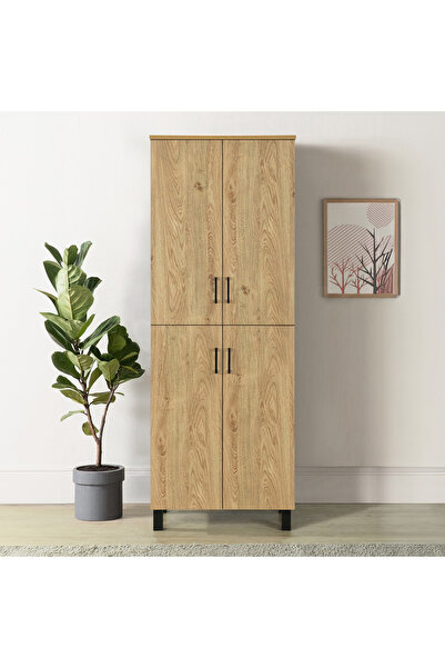 Generic Patara Tall 24-Pair Multipurpose Shoe Rack with 4 Doors