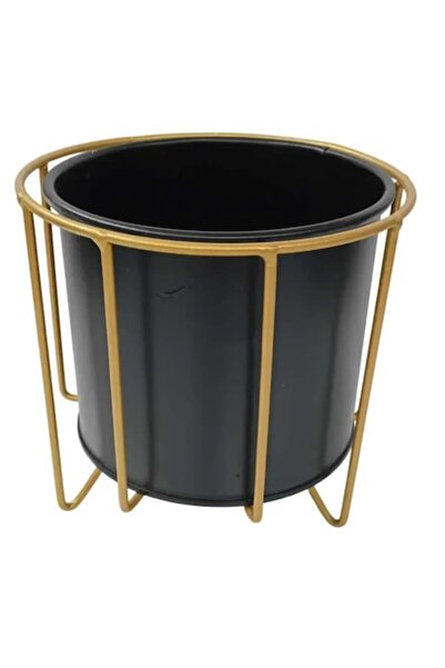 OEM Decorative Black Pot with Golden Stand, Modern and Elegant Design for Indoor Plants