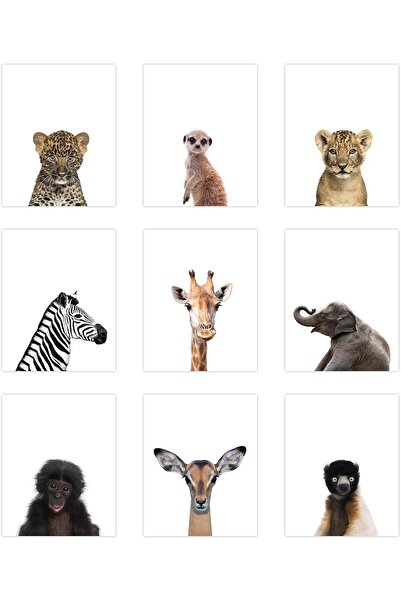 Emoda home Trove مجموعة من 9 ملصقات حيوانات سفاري من ALAYRA، لوحة فنية جدارية...