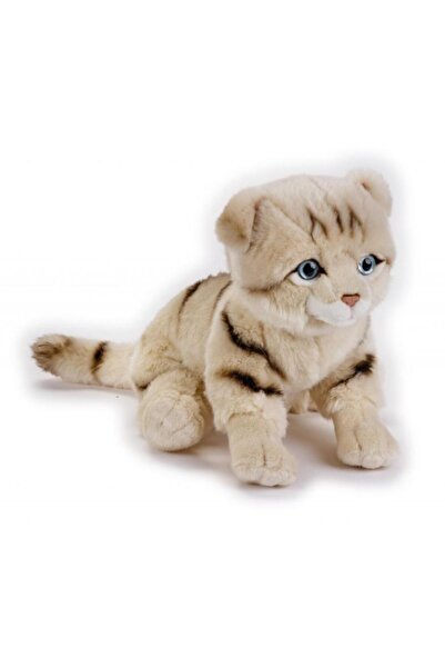 Lelly Jucarie plus Pisica Scottish Fold 25 cm
