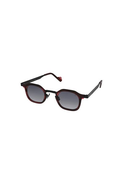 Quantum Q273.C3 Unisex Sunglasses