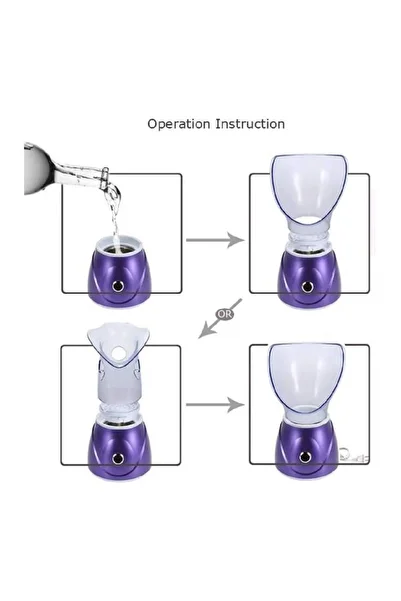 TERRION Nano Ionic Facial Steamer Hot Mist SPA Humidifier for Women & Men, Pore Cleanser - Purple