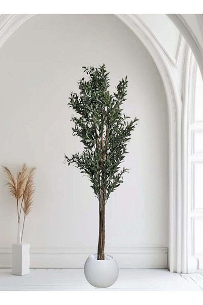BYT ALRWASM FOR TRADE Olive Tree with Large White Pot, Stylish Design, 210 cm