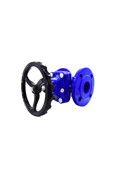 AYVAZ SÜRGÜLÜ VANA ELASTOMER GTK-18 DN 65