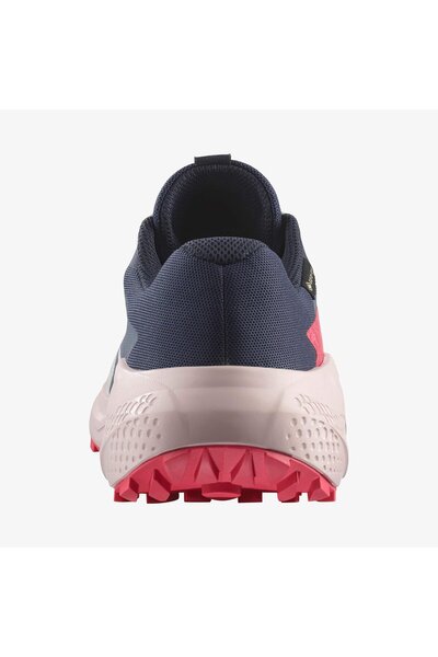 Salomon ALPHAGLIDE GORE-TEX Kadın Koşu Ayakkabısı Lunar Rock L47802300