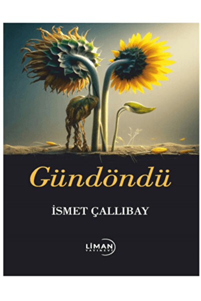 Liman Yayınevi Gündöndü