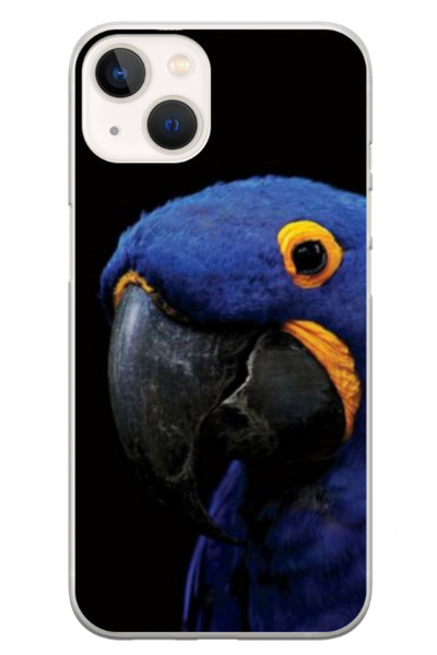 Atlas Husa personalizata HQ Print pentru Apple iPhone 15, Blue Parrot, S1D1M0145
