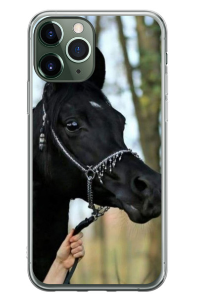 Atlas Husa personalizata pentru Apple iPhone 11 Pro, model Black Horse, S1D1M...