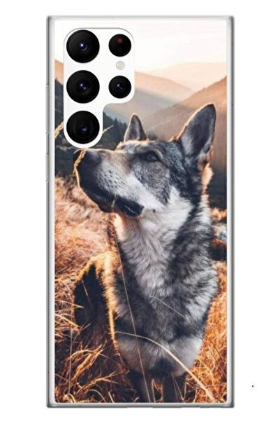 Atlas Προσαρμοσμένη θήκη Motorola Moto G13, IT, πολύχρωμη, S1D1M0107