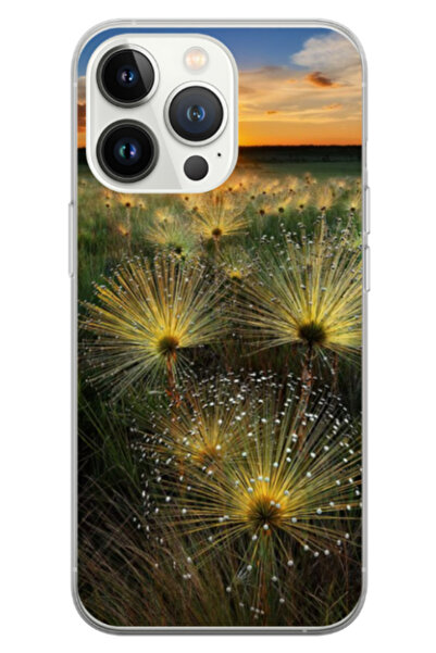 Atlas Husa personalizata pentru Apple iPhone 13 pro, model Nice View #11, S1D...