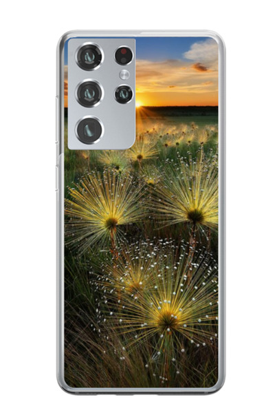 Atlas Εξατομικευμένη θήκη για Samsung Galaxy S21 Ultra, μοντέλο Nice View #11...