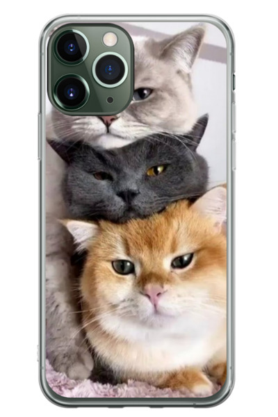 Atlas Husa personalizata pentru Apple iPhone 11 Pro Max, model Cats, S1D1M0116