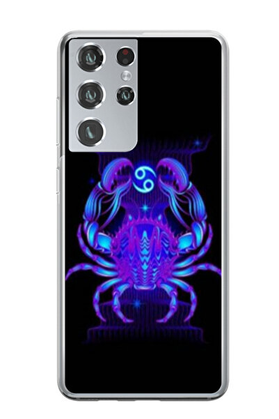 Atlas Εξατομικευμένη θήκη για Samsung Galaxy S21 Ultra, μοντέλο S1D1M0147