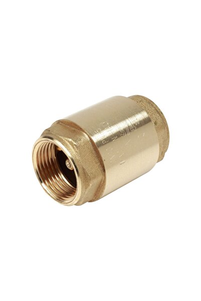 GIACOMINI R60Y037 check valve, 1 1/2", FI, for heating and water supply installations, brass