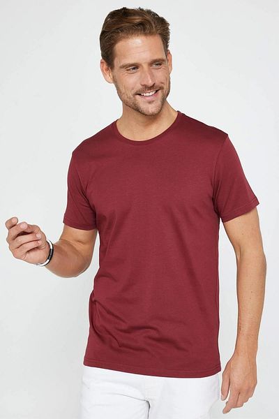 Tudors Unisex 5-Pack Black-White-Burgundy-Yellow-Grey Slim Fit Slim Fit 100% Cotton Crew Neck T-Shirt