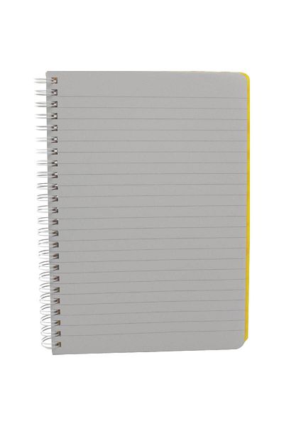 Roco Neon Notebook