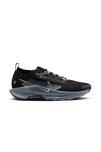 Nike Men's Trail Running Shoes Pegasus Trail 5 Gtx