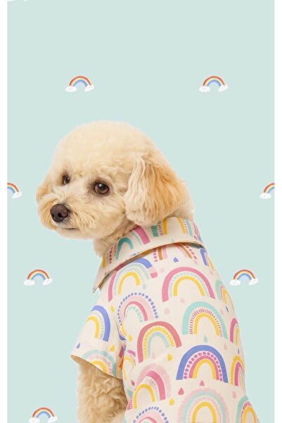 Luli Pet Rainbow Köpek Gömleği