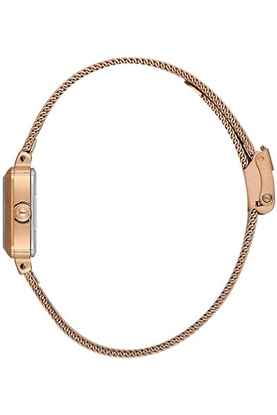 Daniel Klein Daniel Klein Women's Watch Dke.1.10861-6