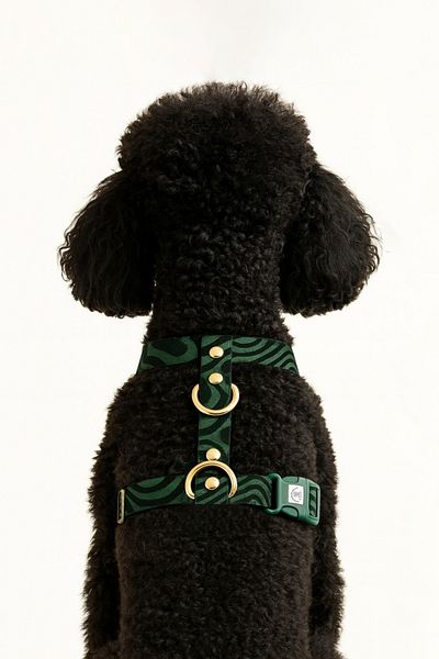 TheTailor Greenwich H Type Anti-Escape Dog Gch Collar Leash