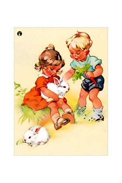 Generic Friends Themed Metallic Plate Green/Orange/White 20x15cm