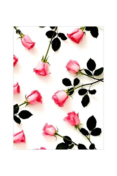 Generic Rose Themed Metallic Plate Pink/White/Green 20x15cm