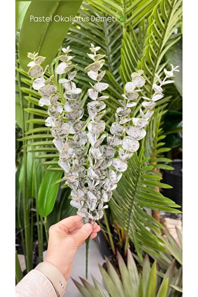 KOZALILAR Yapay Çiçek Pastel Okaliptüs Dalı