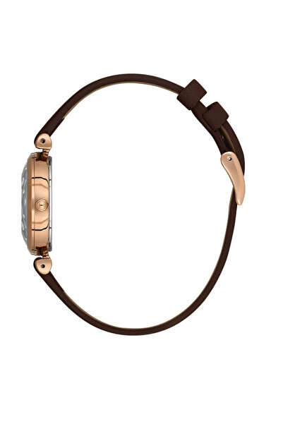 Daniel Klein DANİEL KLEİN KADIN KOL SAATİ DK.1.13919-5