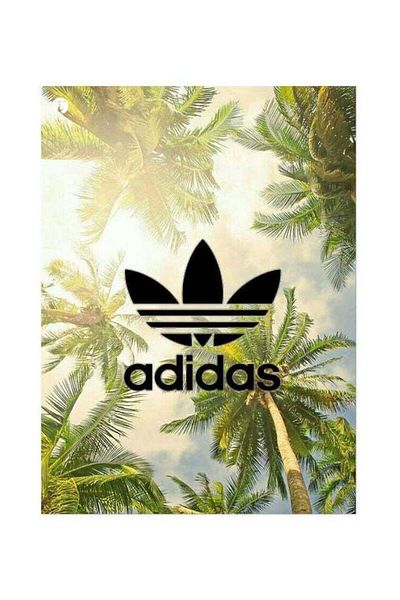 Generic BP Adidas Themed Metallic Plate Green/Blue/Black 20x15cm