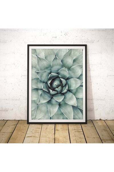Generic Boomah Accessories Cactus Succulent Wall Art Poster With Frame Multicolour 30x40cm