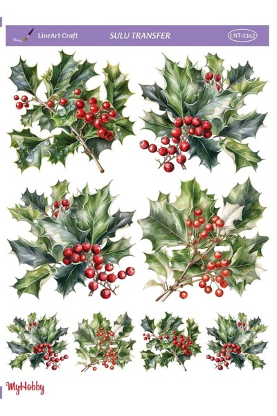 Genel Markalar Sulu Transfer Kağıdı Lnt-2342 25x35 Cm