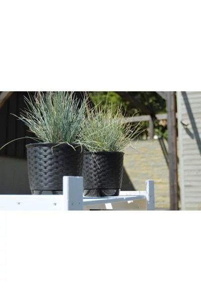 Prosperplast Decorative Flower Pot, Prosperplast, Ratolla, Rattan Imitation, Round, Anthracite, 19 x 16.5 cm