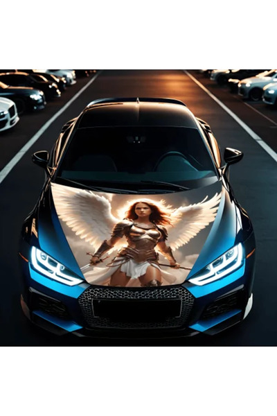 Avex Auto Hood Foil 'Hood Art' Resistant to Outdoor Conditions, Size M (165 x...