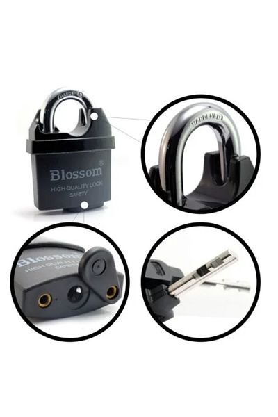 blossom Professional Padlock 60 mm, 3 Keys,