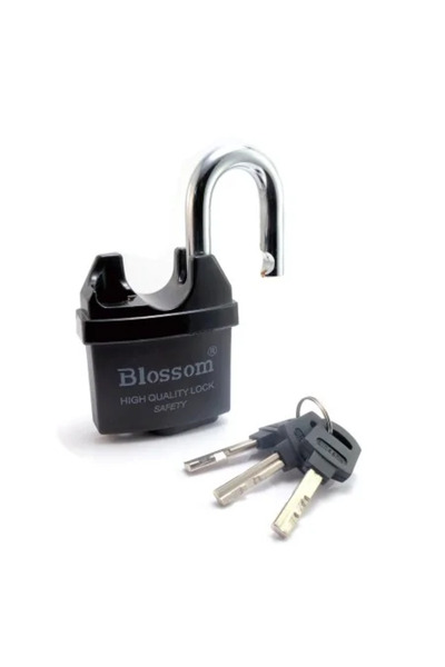 blossom Professional Padlock 60 mm, 3 Keys,