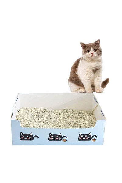 COOYA Disposable Litter Boxes Cats,Thickened Cardboard，Easy To Carry,15.3x11.4x4.7 inch