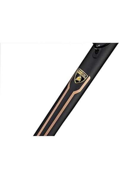 Lamborghini Electric Scooter ALEXT Bronze, 500W, 45 km Range, 25 Km/h Speed (Black)